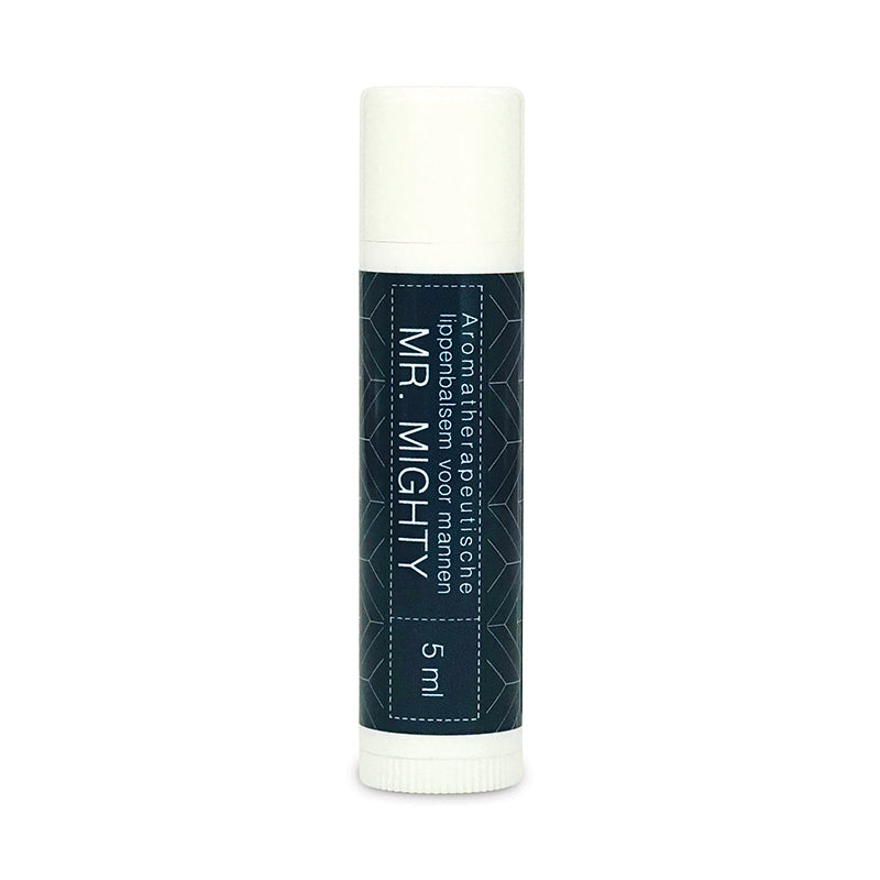 Lip balm for men "Mr. Mighty" (nourishing, scent free, mat effect)